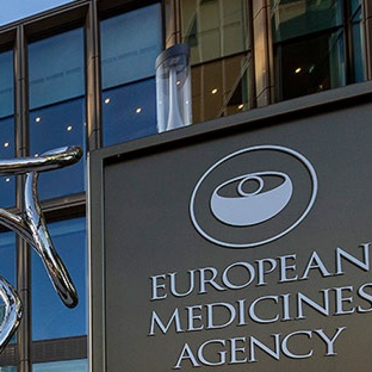 EMA aprueba comercializar una vacuna contra las cepas en circulación de gripe aviar altamente patógena