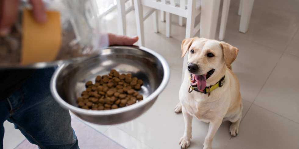 La presencia de cereales en el pienso afecta a la respuesta glucémica de los perros