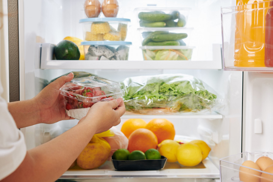 Conservación alimentos