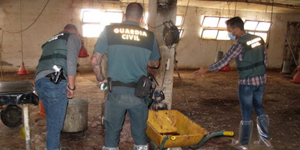 Guardia Civil investiga a una persona responsable de un matadero de aves, sin licencia, en Almería