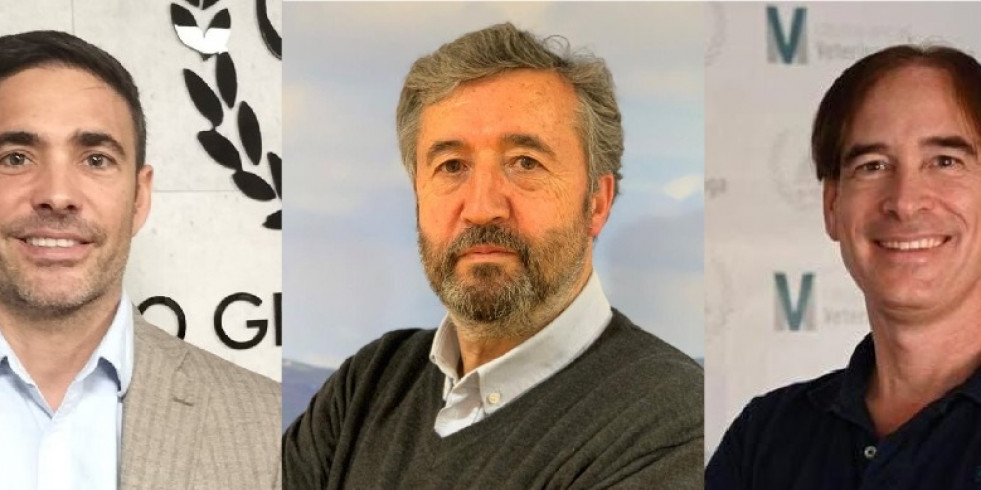 Presidentes de Alicante, Burgos y Málaga, candidatos a vicepresidente de la Organización Colegial Veterinaria