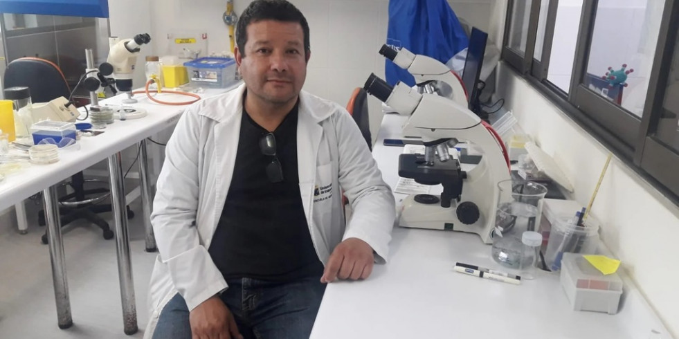 Diagnostican primer caso en Chile de persona infectada con hongo de origen brasileño transmitido por su gato