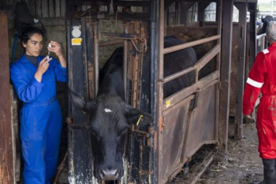 VETERINARIA