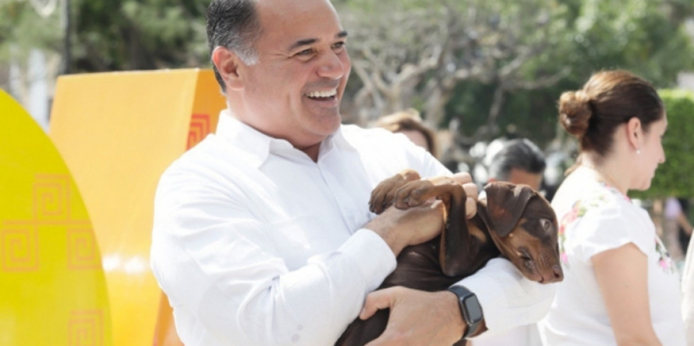 Gobierno de Mérida impulsará programa de esterilización canina y felina de septiembre a noviembre