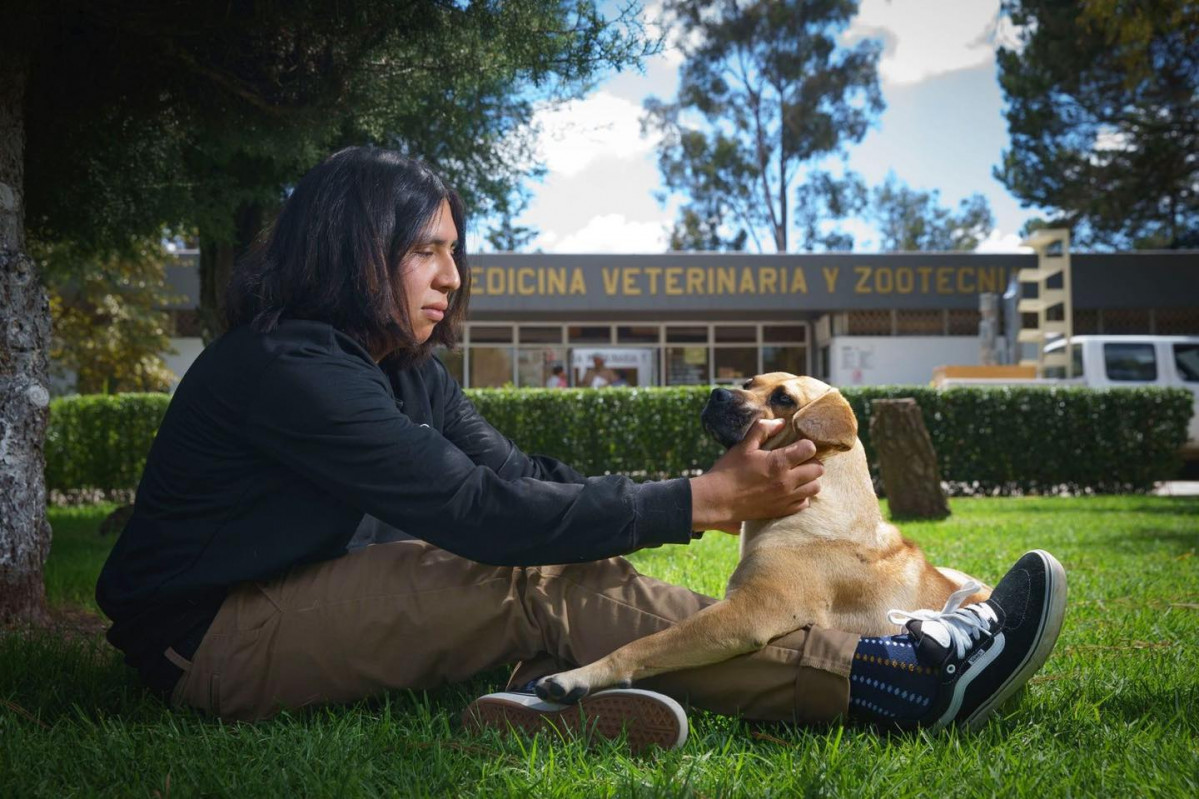 Alfredo Martínez Reyes, rehabilitador canino