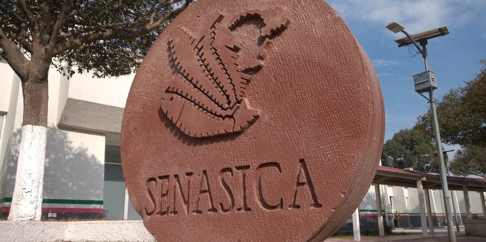 Renuevan la aplicación del Dispositivo Nacional de Emergencia de Sanidad Animal para el control del gusano barrenador del ganado