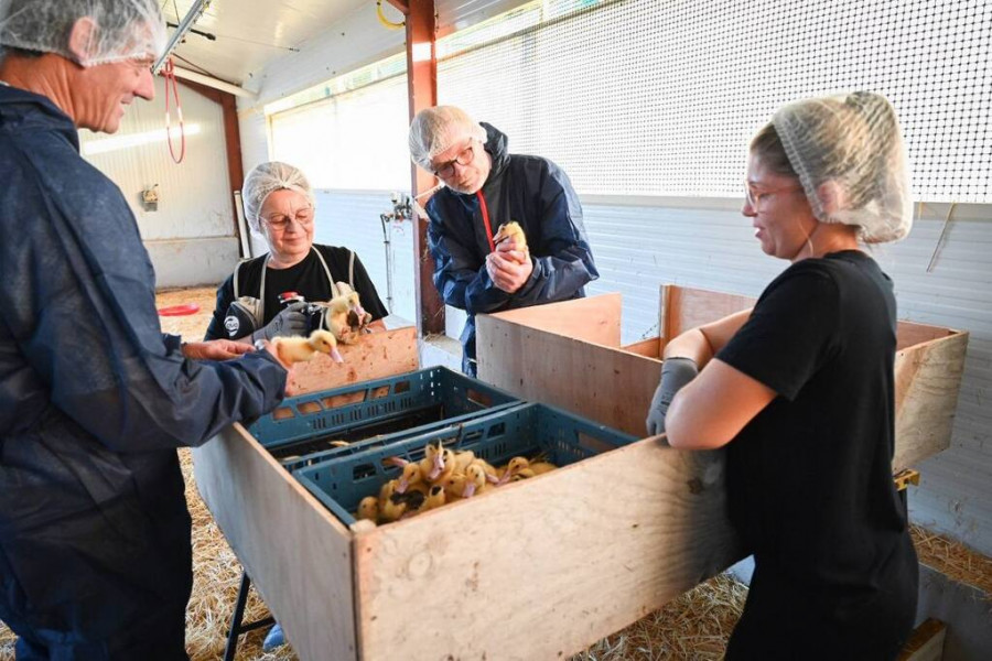 Marc Fesneau visita una granja de Landas
