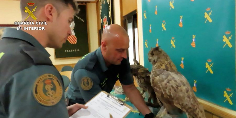 Guardia Civil ha realizado 919 actuaciones penales por delitos contra los animales este 2023