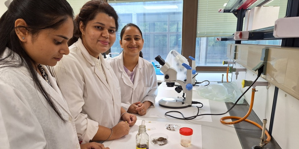 Veterinarios españoles forman a futuros profesionales de la India