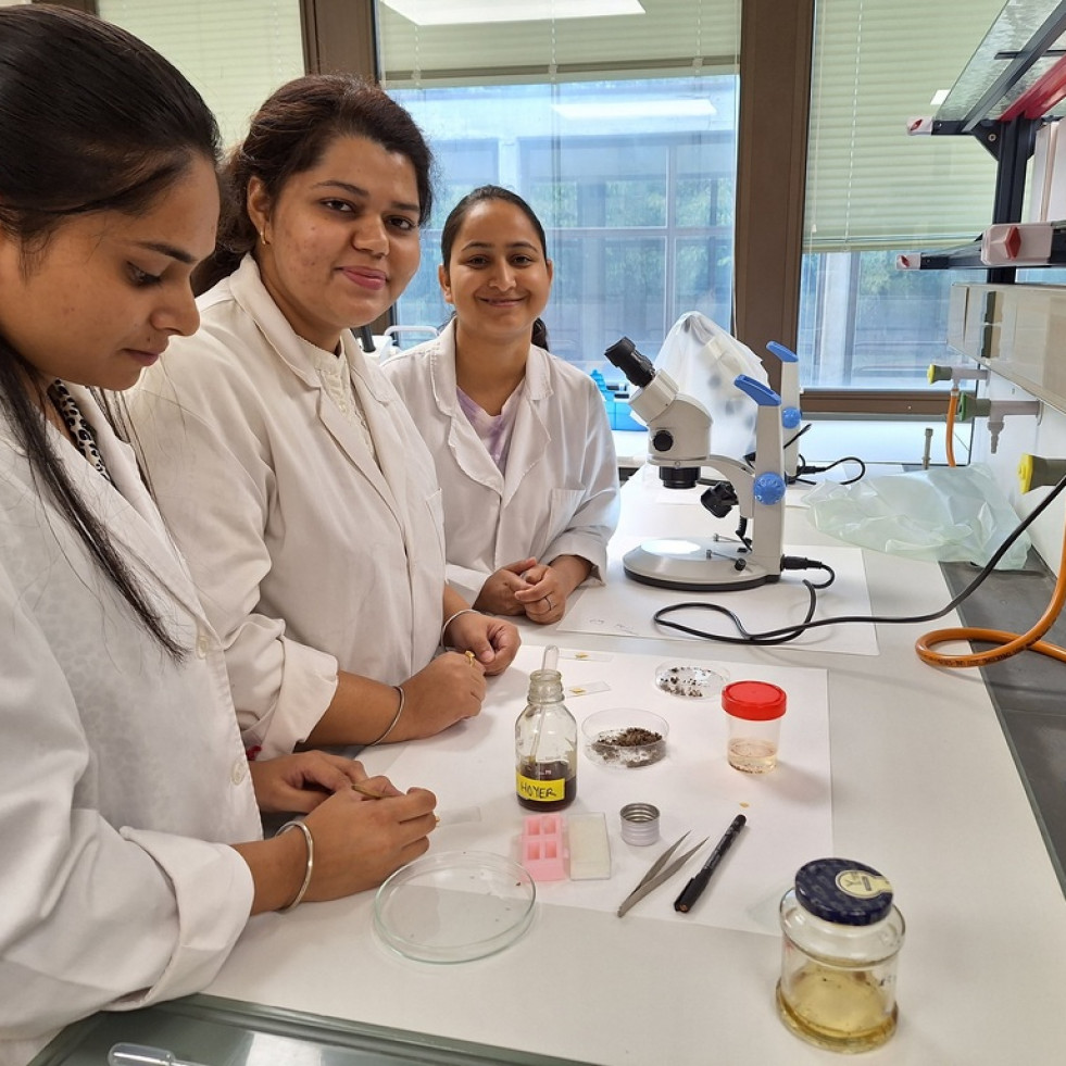 Veterinarios españoles forman a futuros profesionales de la India