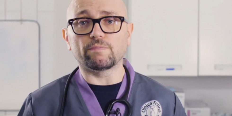 Salvador Cervantes: “Los gatos alimentados con dieta renal incrementan de 3 a 6 veces su esperanza de vida”