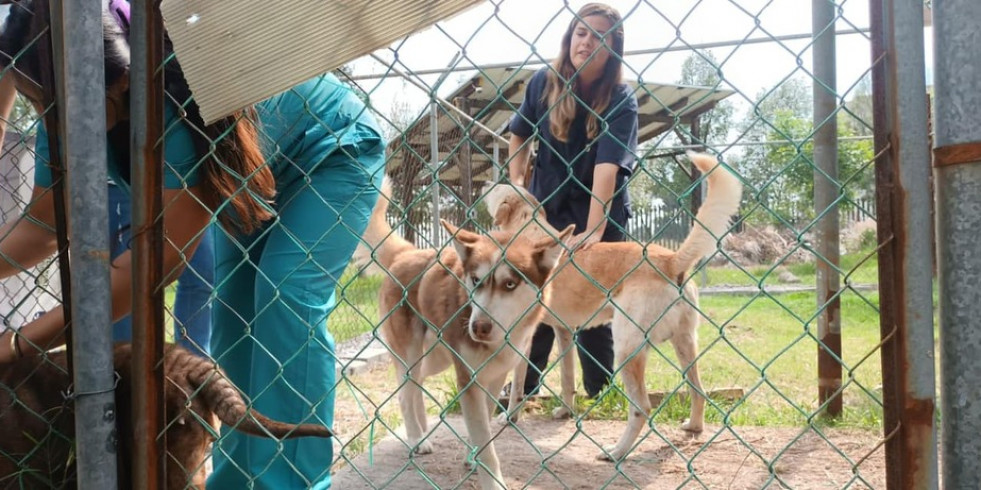 En Tlaxcala se ejerció sólo el 3.3 % del presupuesto asignado a insumos y acciones para salud animal