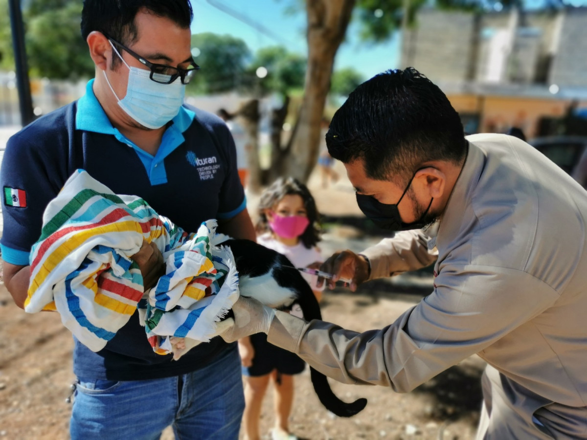 Vacunación antirrábica Campeche