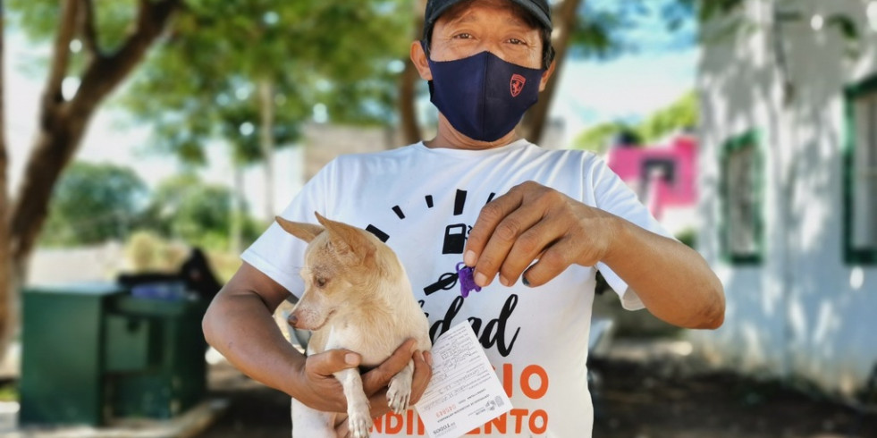 Campeche logra aplicar más de 91.000 dosis de vacuna antirrábica en lo que va del 2023