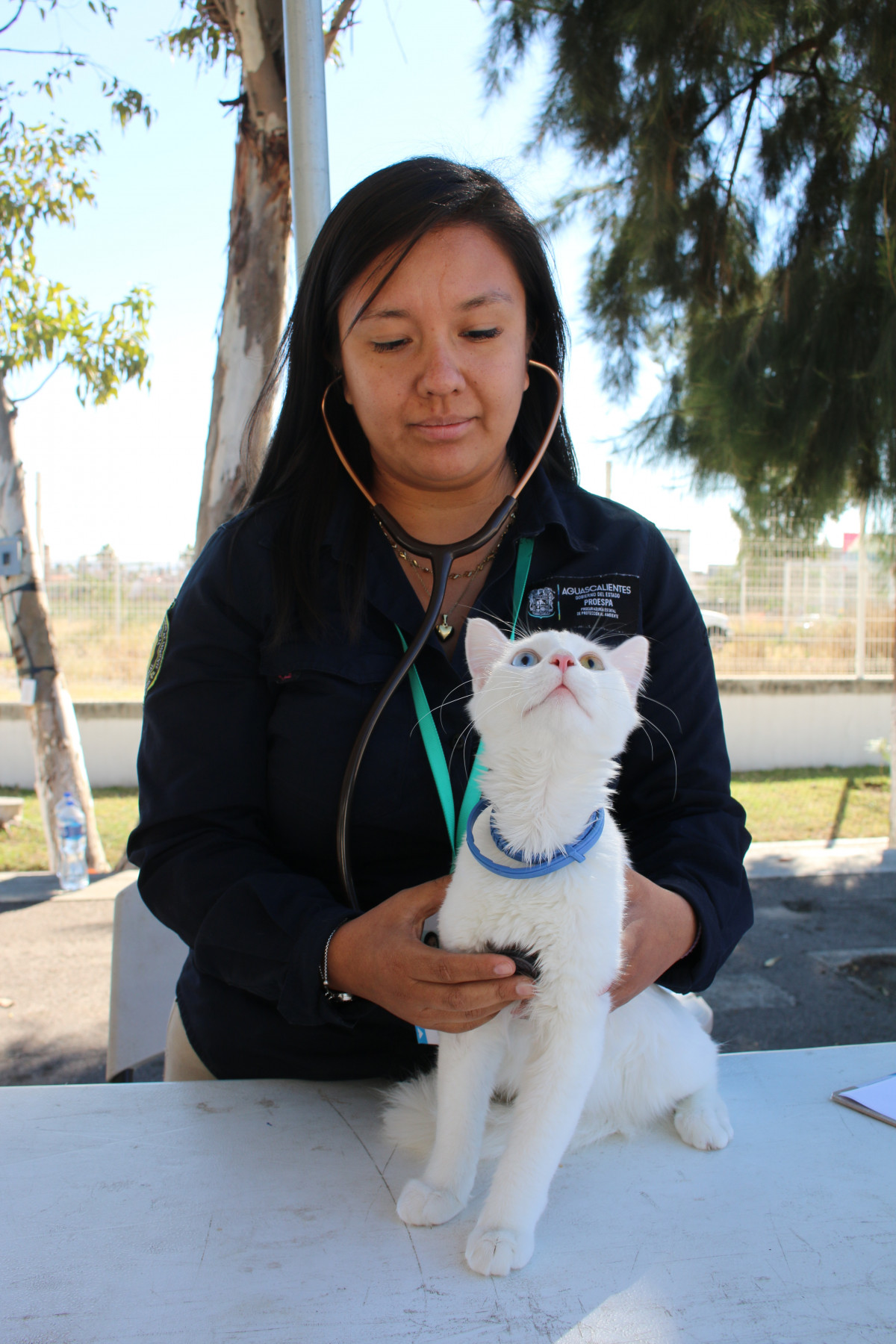 Caravana de Salud Canina y Felina Aguascalientes