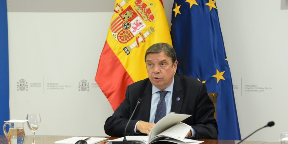 Islas Baleares se convierte en zona restringida frente al serotipo 8 del virus de la lengua azul