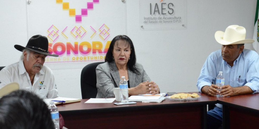 Los resultados de las granjas avícolas colindantes al brote de influenza aviar en Sonora dan negativo