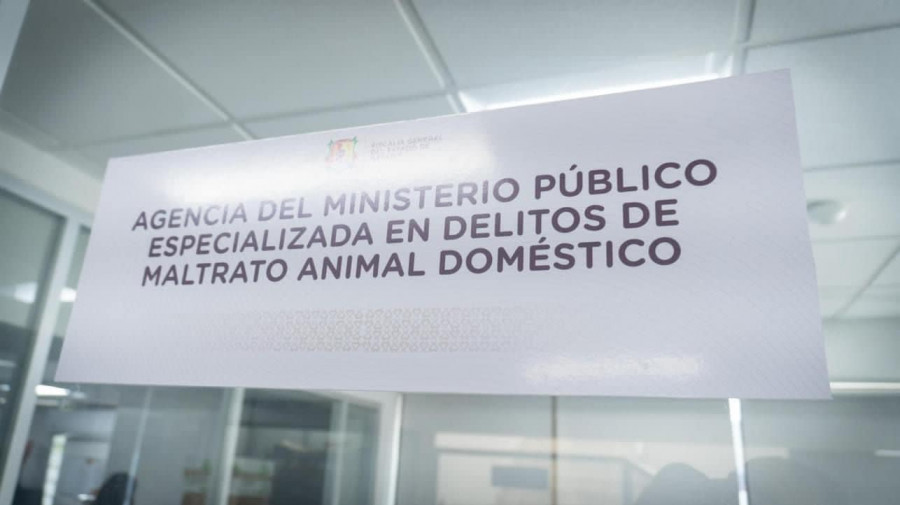 Maltrato animal Fiscalía Nayarit