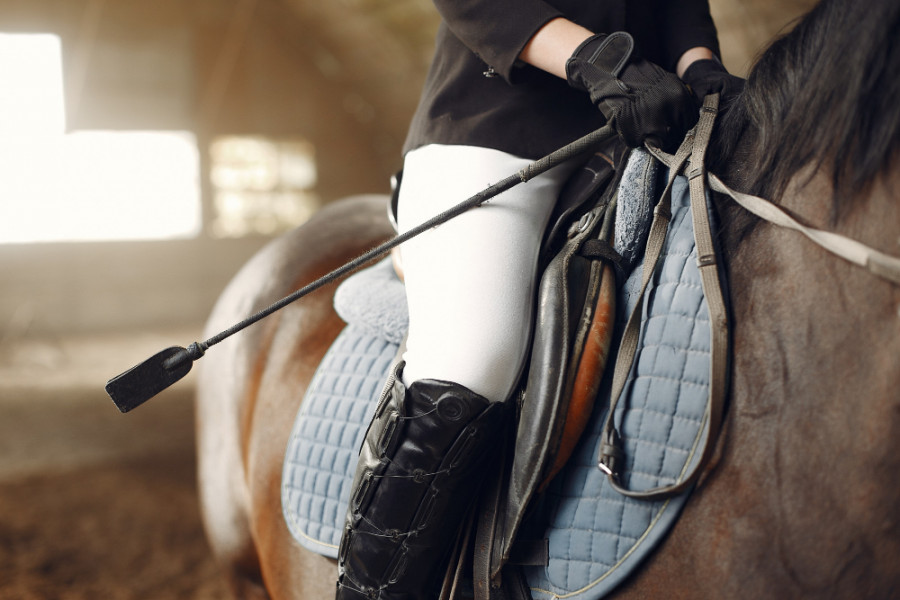 Caballo (2)