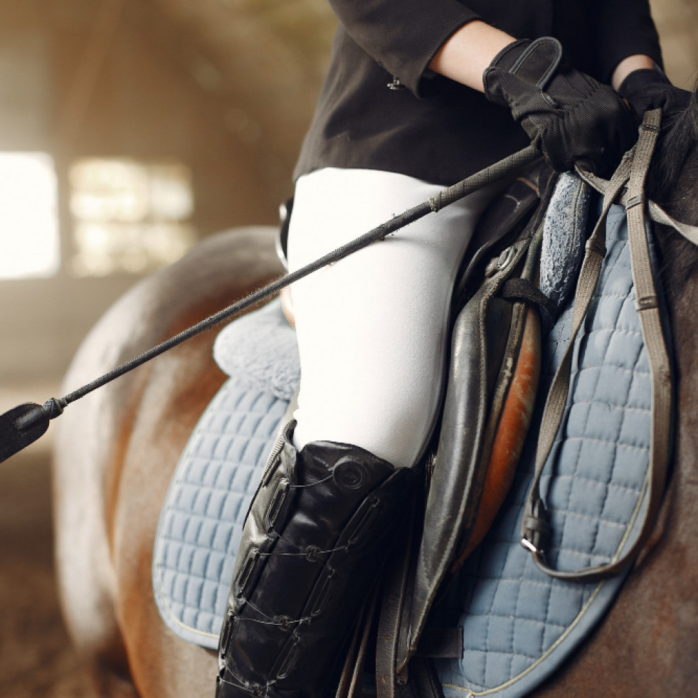 Los veterinarios de équidos se posicionan sobre el correcto uso del equipo de sujeción y monta en caballos