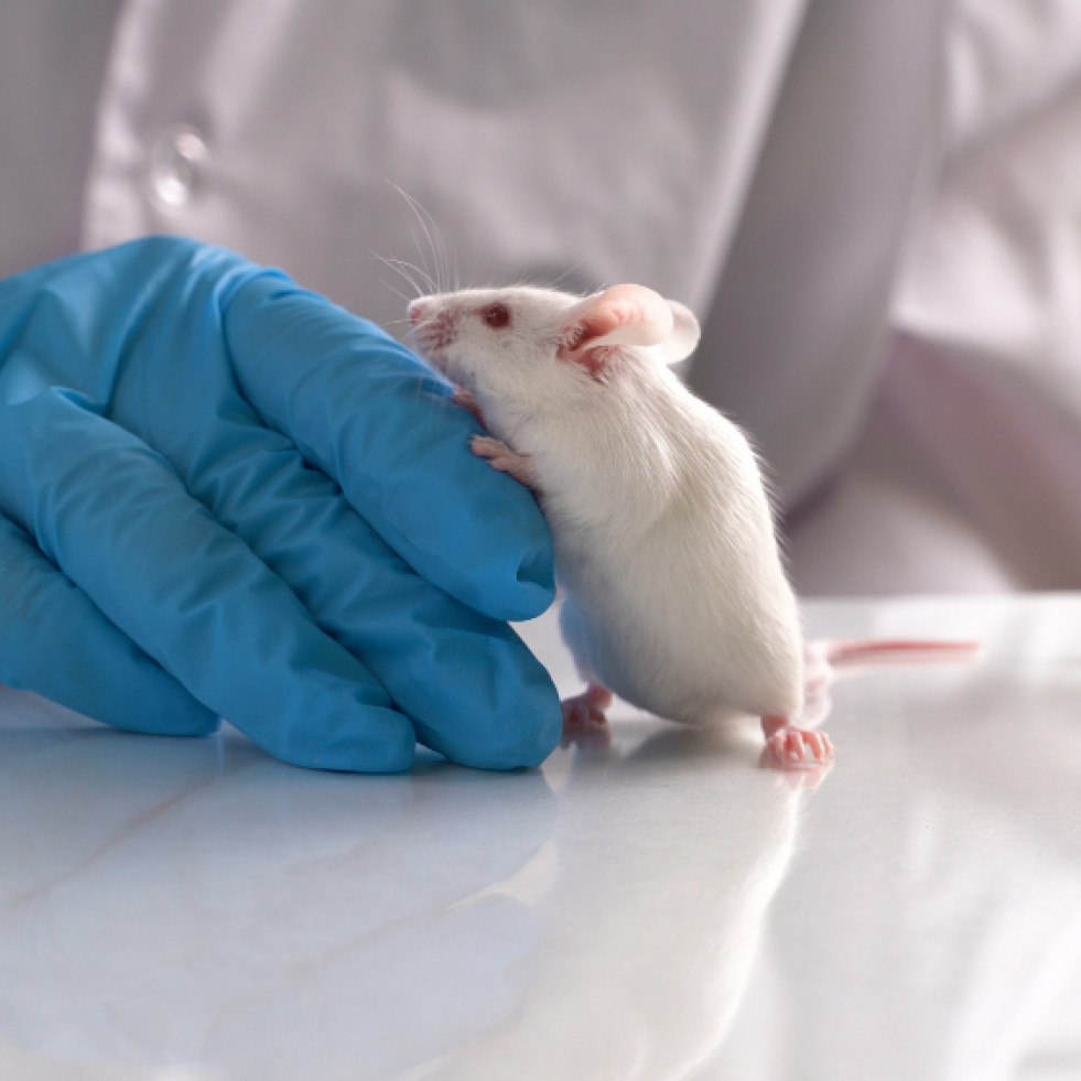 La seguridad alimentaria se encuentra cerca de poder evaluarse sin ensayos en animales