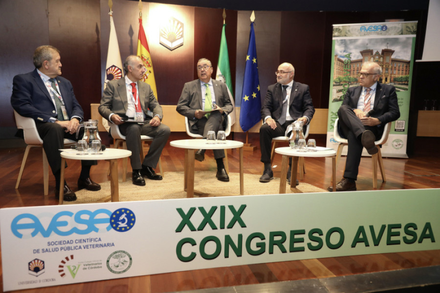 Congreso AVESA-Córdoba 2023