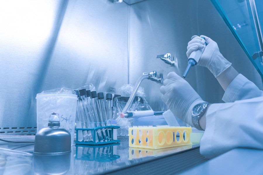 Investigación laboratorio
