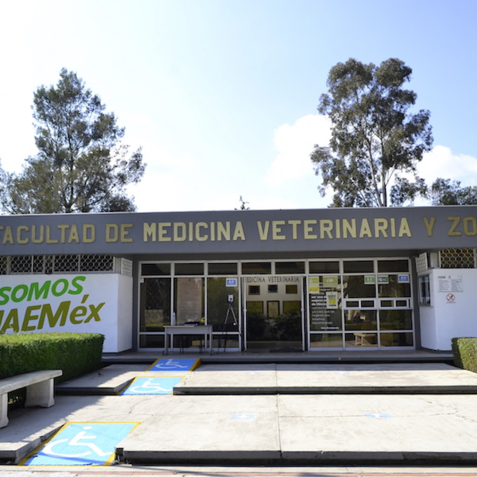 Convocan dos plazas de prácticas para veterinarios en Toluca