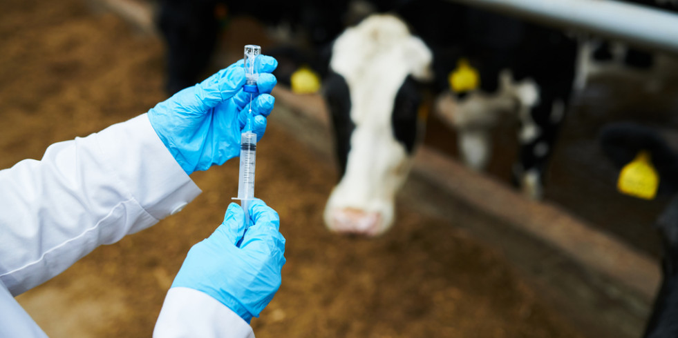 La industria veterinaria analiza la norma que regula la producción de productos para uso o consumo animal