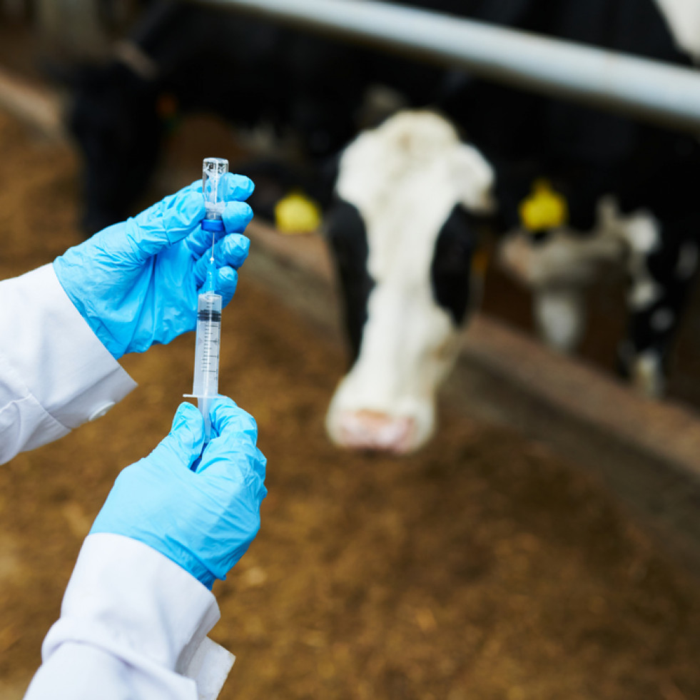 La industria veterinaria analiza la norma que regula la producción de productos para uso o consumo animal