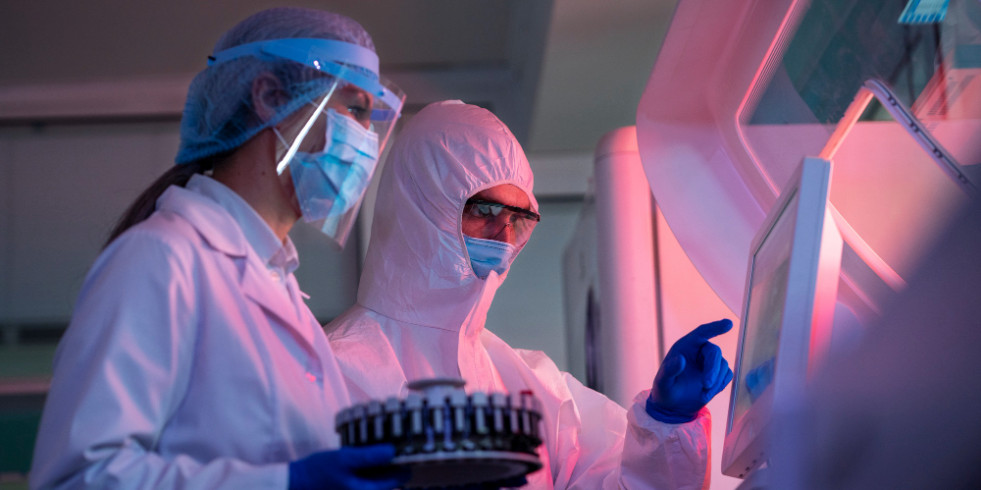 Investigadores mexicanos evalúan una vacuna alternativa frente a la anaplasmosis bovina