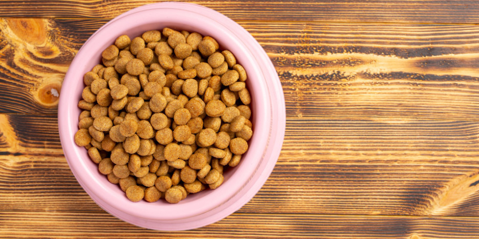 Primera evaluación de carbohidratos y fuentes de proteínas en el desarrollo de enteropatía crónica en perros