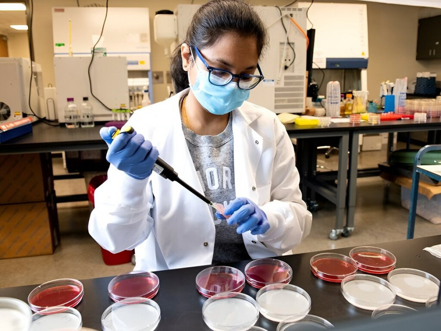 Shaana Chandra, Ph.D. estudiante, prepara soluciones de muestra para enchapado en el laboratorio de