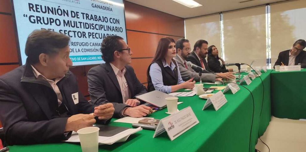 ¿En qué punto se encuentran los derechos animales en México?