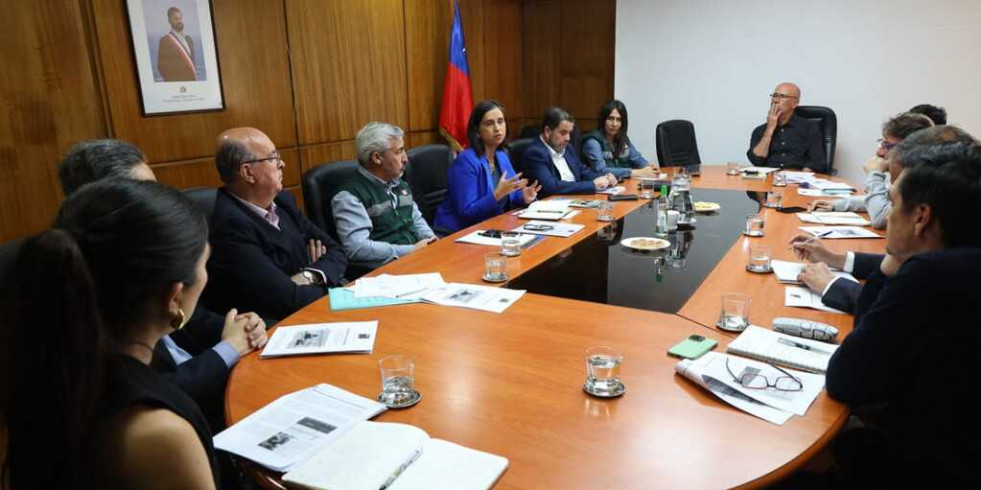Chile constituye una mesa de trabajo público-privada para combatir a la gripe aviar en 2024