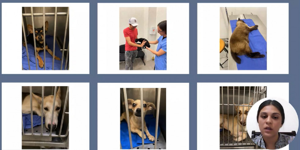 Una estudiante veterinaria realiza una campaña de esterilización de mascotas gracias a una beca en Guanajuato