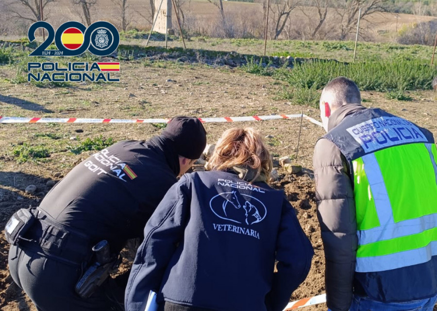 Veterinaria policía nacional