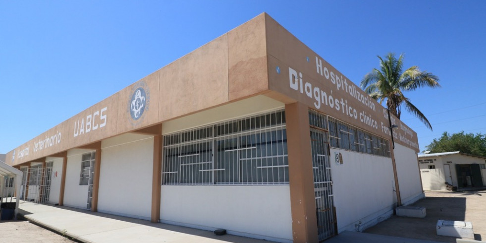 El hospital veterinario de la Universidad Autónoma de Baja California Sur fortalecerá sus servicios para este año