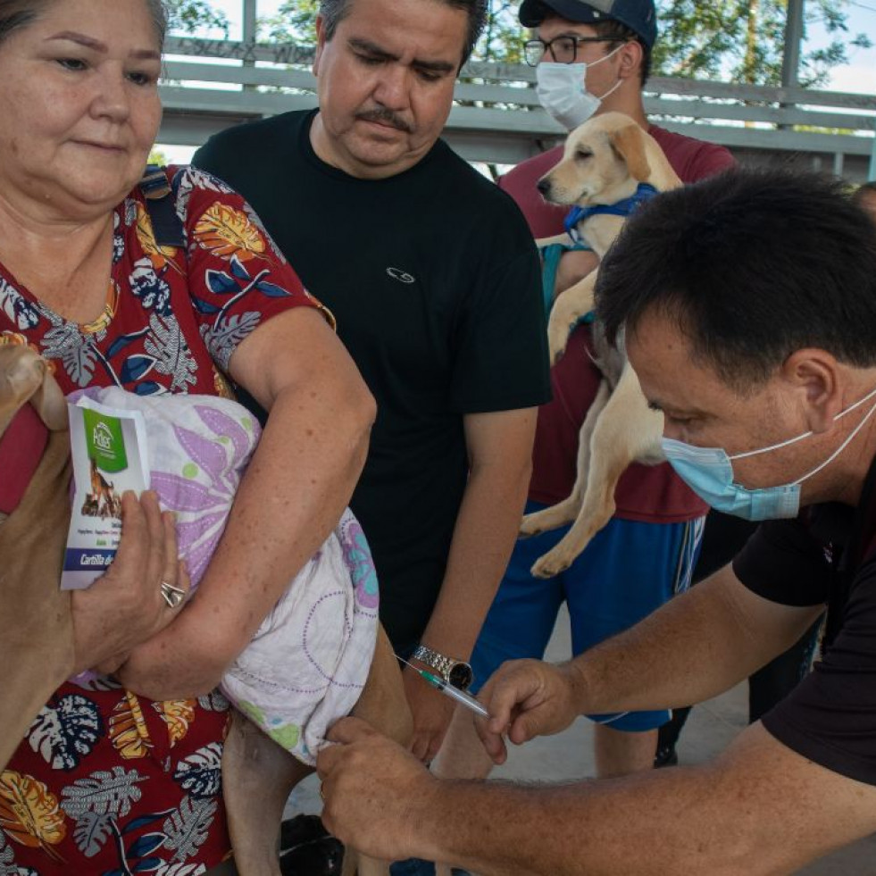 Sonora pone a disposición la vacuna antirrábica gratuita para perros y gatos