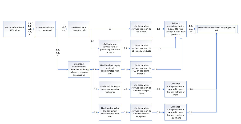 Diagrama de riesgo de infección por viruela ovina y caprina.