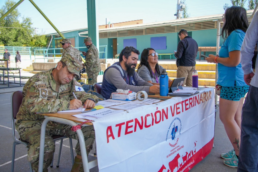 Ayuda veterinaria Chile