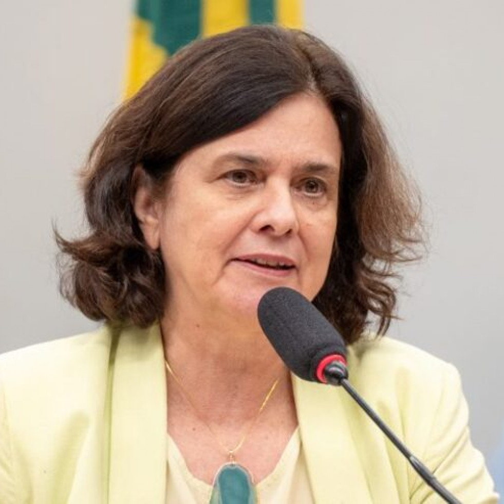 Brasil confirma un caso de infección humana por el virus de la Influenza porcina A