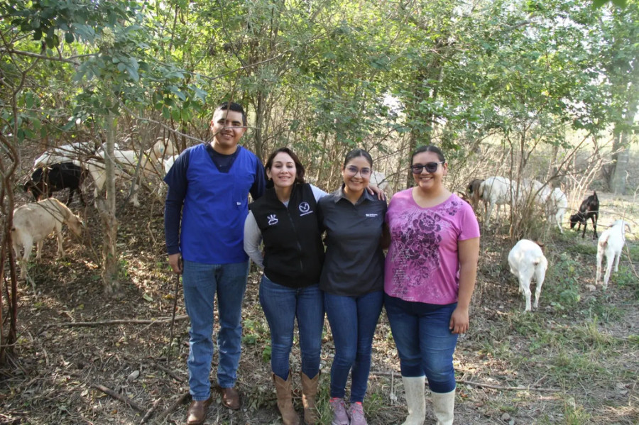 Estudio caprino Universidad Tamulipas