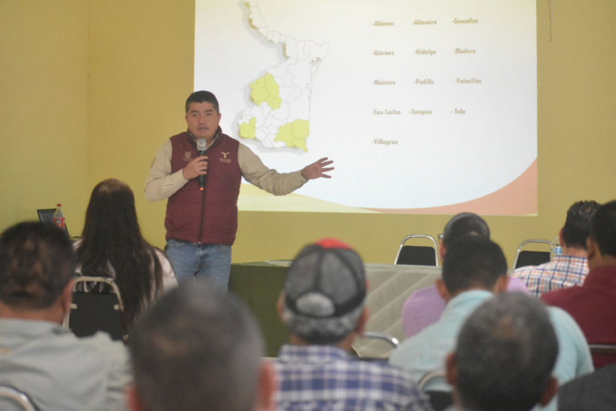 Reunión estatus zoosanitario Tamaulipas