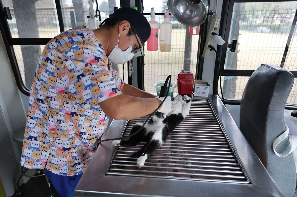 Programa de Esterilización de Perros y Gatos UAEMéx