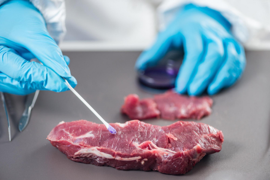Carne