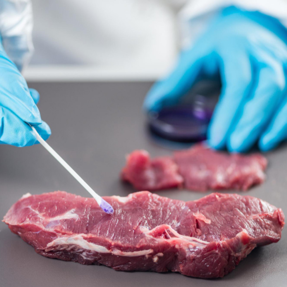 Científicos españoles prueban un método de congelación de carne de ovino para inactivar Sarcocystis