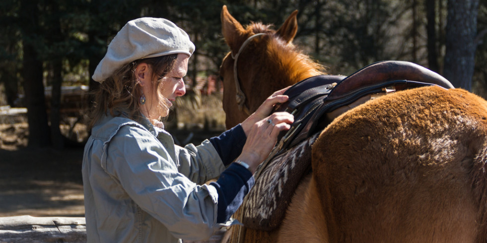 Desarrollan una guía para mejorar la comunicación entre veterinarios y propietarios de caballos