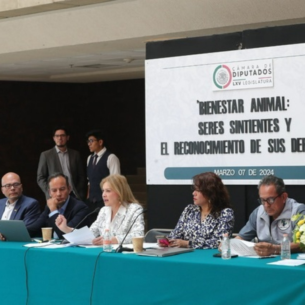 Expertos analizan en la Cámara de Diputados la situación de los animales en México