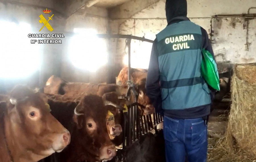 Op rumia guardia civil ganado